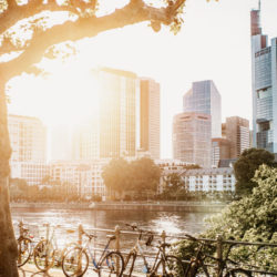 Skyline von Frankfurt in der Abendsonne