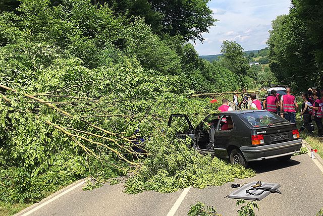 Auto, auf dem ein umgestürzter Baum liegt und Rettungshelfer